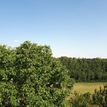 Podere Calcinaia 카스텔누오보베라덴가 외부 사진