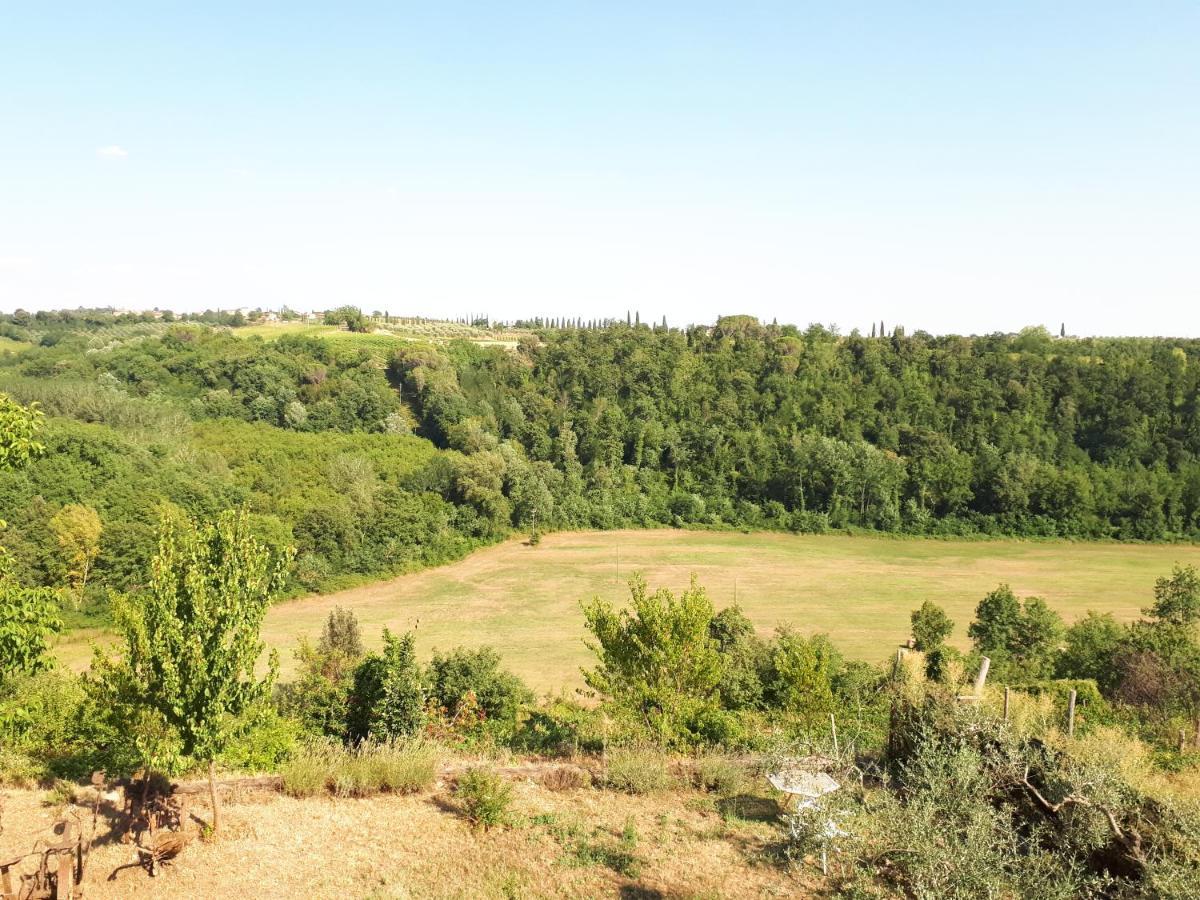 Podere Calcinaia 카스텔누오보베라덴가 외부 사진