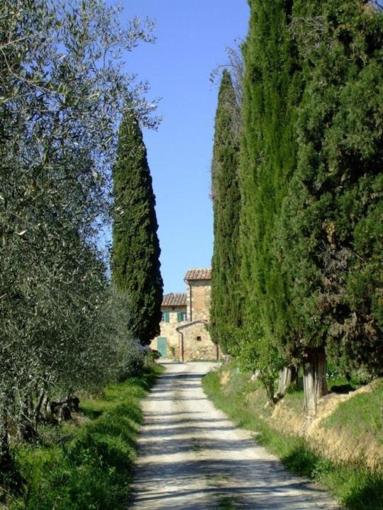 Podere Calcinaia 카스텔누오보베라덴가 외부 사진