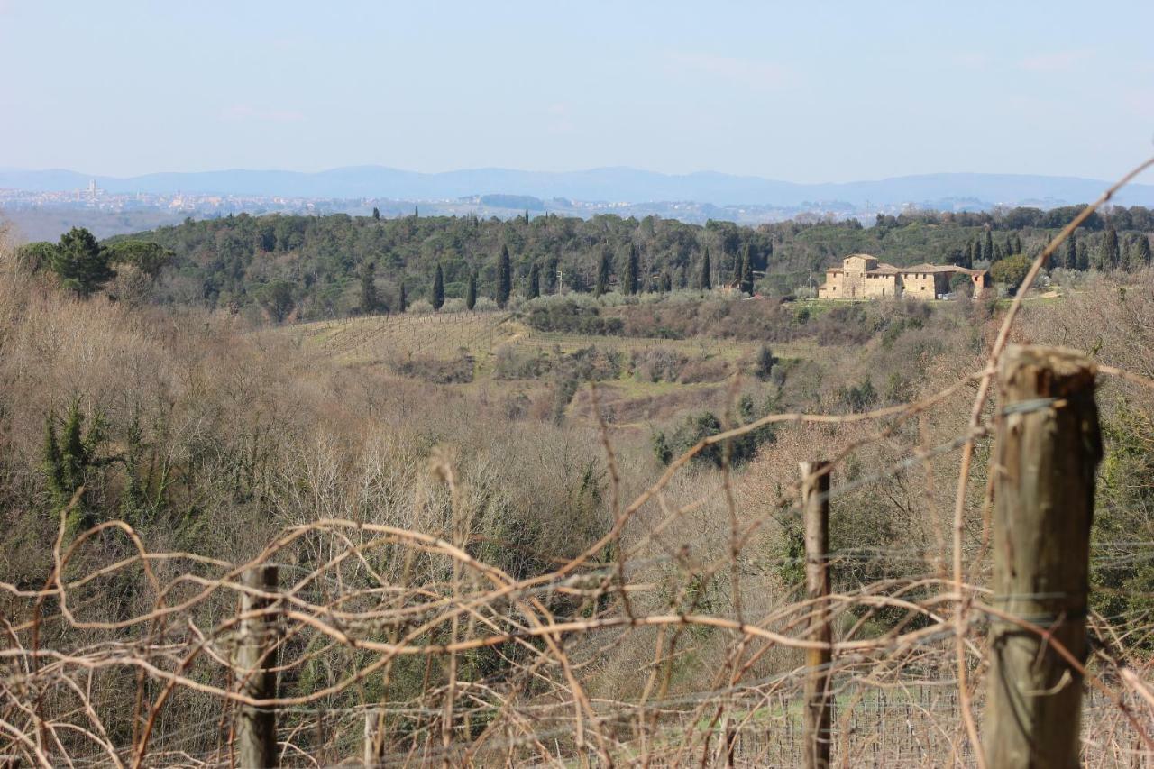 Podere Calcinaia 카스텔누오보베라덴가 외부 사진